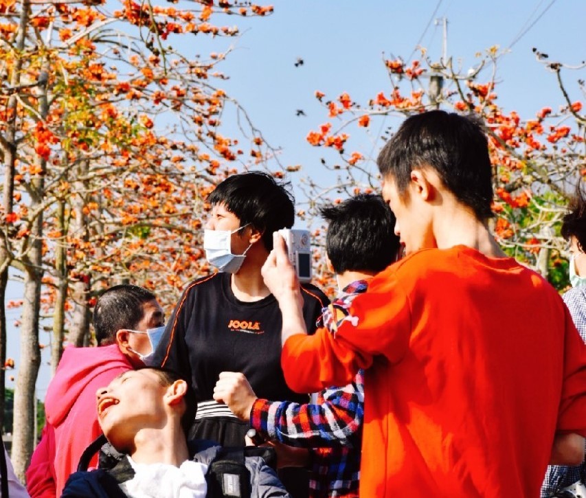 【蓮心園木棉花季】來囉！標題圖